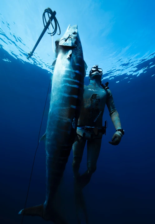 Spearfishing